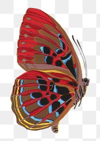 Red vintage butterfly png sticker, insect on transparent background.  Remixed by rawpixel