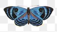 Blue vintage butterfly png sticker, insect on transparent background. E.A. S&eacute;guy's artwork remixed by rawpixel