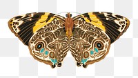 E.A. S&eacute;guy's butterfly png sticker, vintage insect on transparent background. Remixed by rawpixel