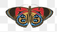 Peacock butterfly png sticker, vintage insect on transparent background. E.A. S&eacute;guy's artwork remixed by rawpixel