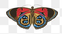 Peacock butterfly png sticker, vintage insect on transparent background. E.A. Séguy's artwork remixed by rawpixel