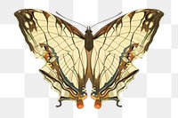 Autumn butterfly png sticker, vintage insect on transparent background. E.A. Séguy's artwork remixed by rawpixel