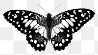 Black butterfly png sticker, vintage insect on transparent background. Remixed from the artwork of E.A. Séguy.