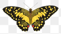Vintage butterfly png sticker, yellow insect on transparent background. E.A. S&eacute;guy's artwork remixed by rawpixel