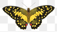 Vintage butterfly png sticker, yellow insect on transparent background. E.A. Séguy's artwork remixed by rawpixel