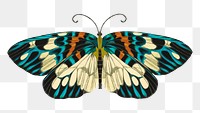 Art nouveau butterfly png sticker, vintage insect on transparent background. E.A. Séguy's artwork remixed by rawpixel