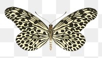 Exotic spotted butterfly png sticker, vintage insect on transparent background. E.A. Séguy's artwork remixed by rawpixel