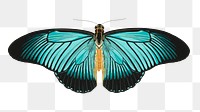 Blue Swallowtail butterfly png sticker, vintage insect on transparent background. E.A. S&eacute;guy's artwork remixed by rawpixel