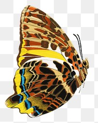 E.A. Séguy's butterfly png sticker, exotic insect on transparent background. Remixed by rawpixel