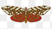 Vintage exotic butterfly png sticker, insect on transparent background. E.A. Séguy's artwork remixed by rawpixel