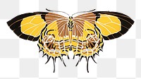 Yellow exotic butterfly png sticker, insect on transparent background. E.A. Séguy's artwork remixed by rawpixel