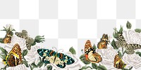 White roses png border, aesthetic butterfly, transparent background.   Remixed from the artwork of E.A. Séguy.