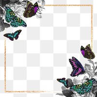 Golden butterfly png frame, transparent background. Remixed from the artwork of E.A. Séguy.