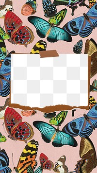 Vintage butterfly patterned png frame, ripped note paper, transparent design. Remixed from the artwork of E.A. Séguy.