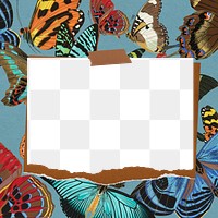 Vintage butterfly patterned png frame, ripped note paper, transparent design. Remixed from the artwork of E.A. S&eacute;guy.