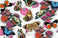 Vintage butterfly png pattern, transparent background, remixed from the artwork of E.A. Séguy