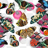 Vintage butterfly png pattern, transparent background, remixed from the artwork of E.A. Séguy