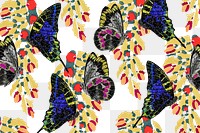 E.A. Séguy's butterfly png pattern, transparent background, remixed by rawpixel