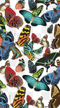 E.A. Séguy's butterfly png pattern, transparent background, remixed by rawpixel