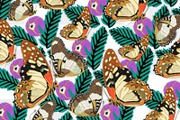 Exotic butterfly png vintage pattern, transparent background, remixed from the artwork of E.A. Séguy