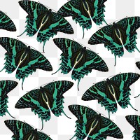 Green exotic butterfly png pattern, transparent background, remixed from the artwork of E.A. Séguy