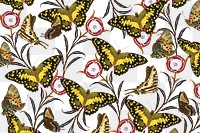 Vintage butterfly png botanical pattern, transparent background, remixed from the artwork of E.A. Séguy