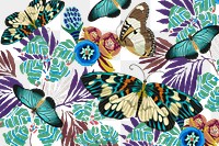 Exotic butterfly png vintage pattern, transparent background, remixed from the artwork of E.A. Séguy