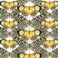 E.A. Séguy's butterfly png pattern, transparent background, remixed by rawpixel