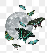 Full moon butterfly png sticker, aesthetic surreal remix on transparent background