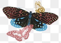 Gold glittery butterfly png sticker, aesthetic remix on transparent background