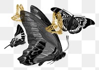 Gold glittery butterfly png sticker, aesthetic remix on transparent background