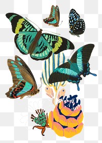 Green butterflies png sticker, aesthetic insect remix on transparent background