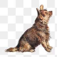 William Hunt's png watercolor Terrier dog, transparent background.   Remastered by rawpixel