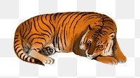 Sleeping tiger png wild animal sticker, transparent background. Remixed by rawpixel.