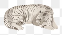 Tiger png sticker, vintage animal on transparent background.  Remastered by rawpixel