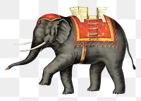 Performing elephant png sticker, vintage circus animal on transparent background.  Remastered by rawpixel