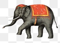 Performing elephant png sticker, vintage circus animal on transparent background.  Remastered by rawpixel