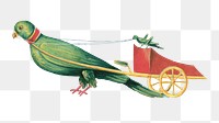 Parrot png pulling a chariot, animal on transparent background.  Remastered by rawpixel