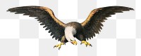 American eagle png sticker, vintage bird on transparent background.  Remastered by rawpixel