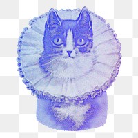 Blue cat png vintage fashion sticker, transparent background