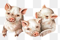 The prize piggies png sticker, farm animal on transparent background.   Remastered by rawpixel