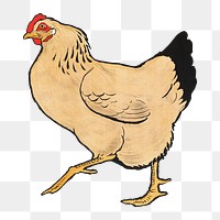 Vintage hen png sticker, farm animal on transparent background.  Remastered by rawpixel