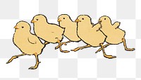 Baby chickens png sticker, farm animal on transparent background.  Remastered by rawpixel