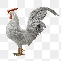 Hamburg Rooster png weathervane on transparent background.   Remastered by rawpixel