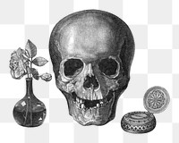 Human skull png sticker, vintage illustration on transparent background.  Remastered by rawpixel