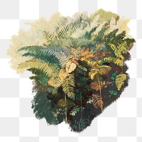 A Study of Ferns png sticker, Civitella on transparent background.   Remastered by rawpixel