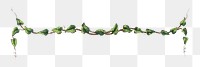 Ornamental leaf png branch divider on transparent background.   Remastered by rawpixel