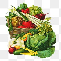 Vegetable basket png sticker, still life on transparent background.  Remastered by rawpixel