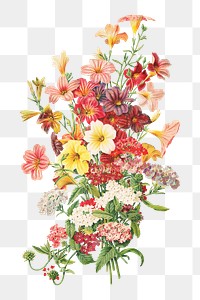 Red flower bouquet png sticker, vintage botanical on transparent background.   Remastered by rawpixel