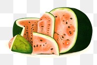 Watermelon png sticker, tropical fruit  on transparent background.    Remastered by rawpixel